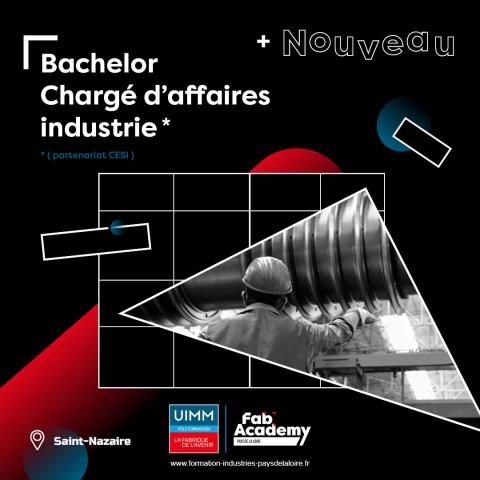 bachelor chargé d'affaires